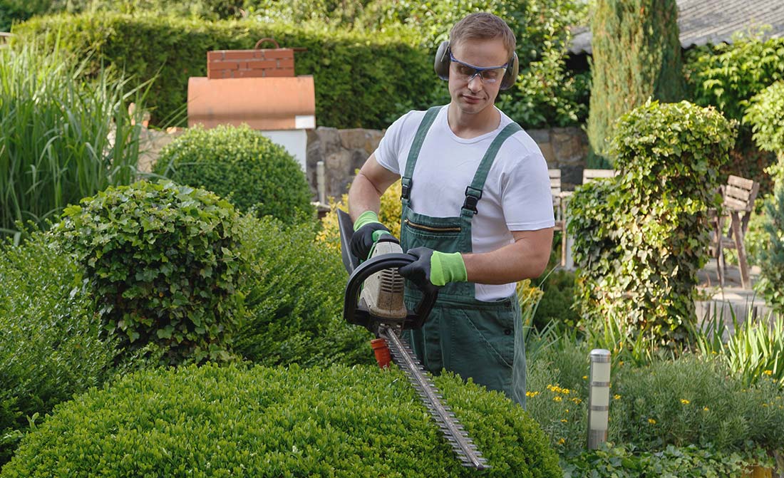 Lawn Care & Lawn Mower